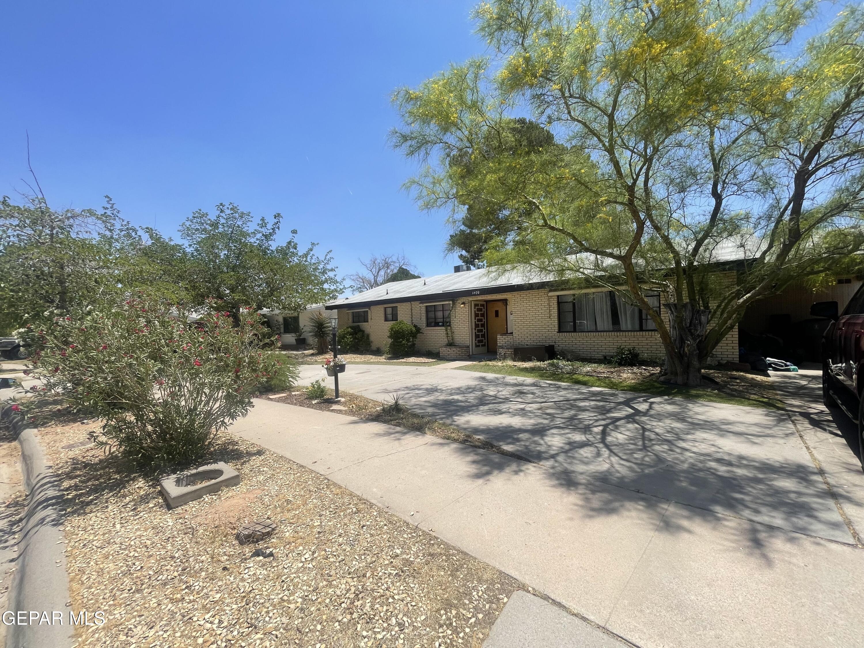 a front view of a house with a yard and trees