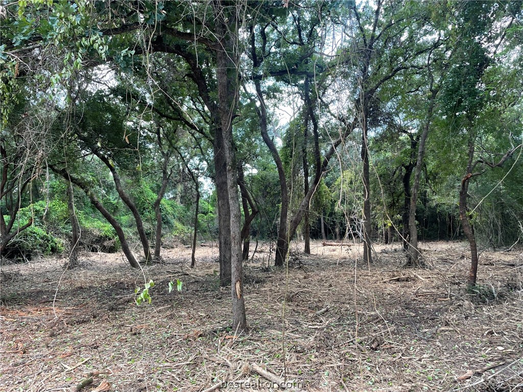 a view of outdoor space with trees