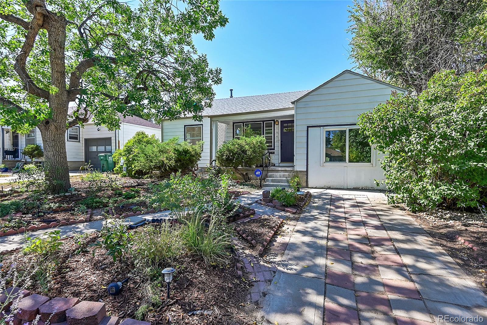 a view of a house with yard and plants