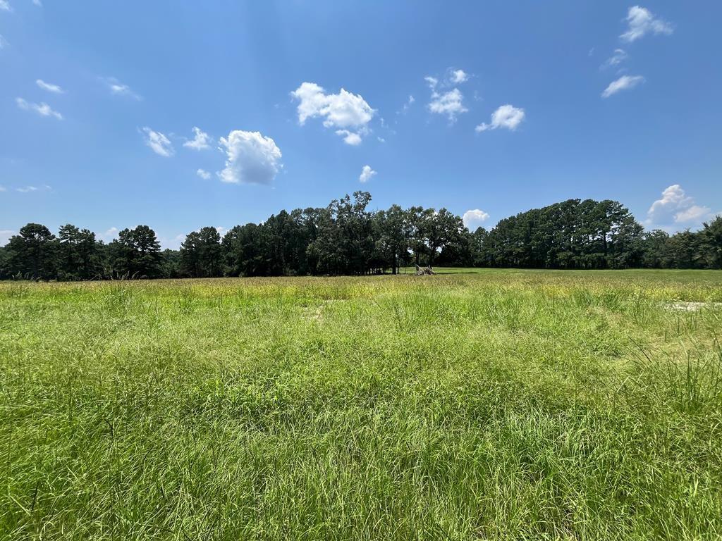 a view of a lake with a yard