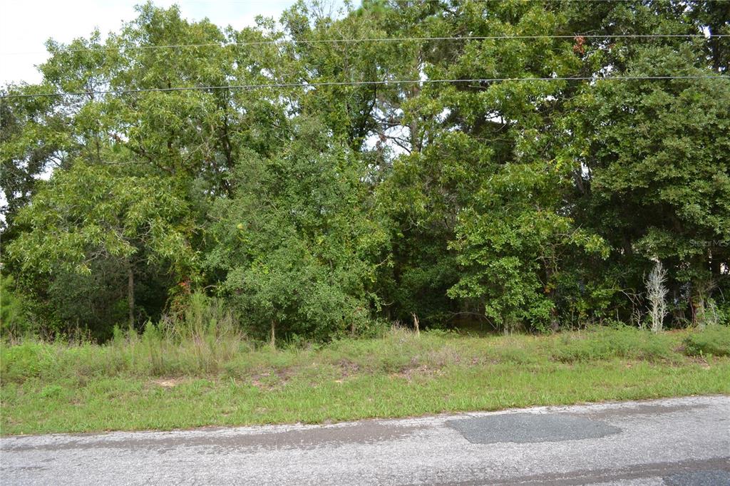 a view of a yard with a tree