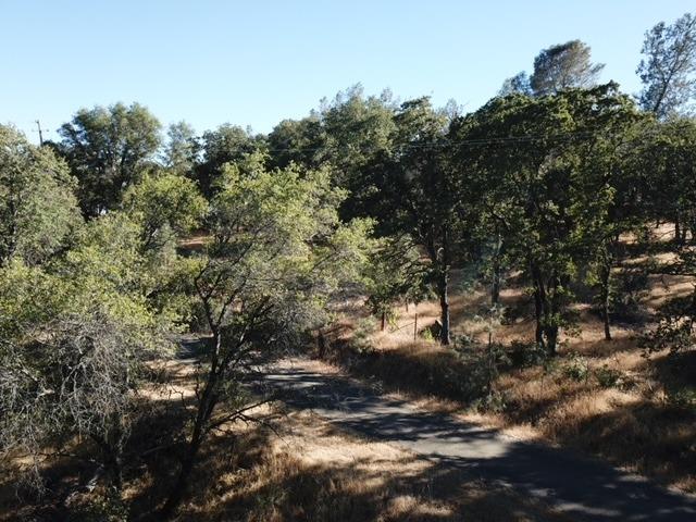 a view of a tree