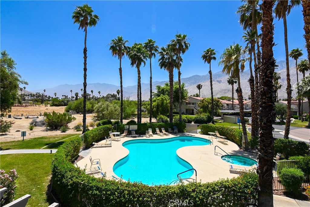 a view of a swimming pool with a yard and palm trees