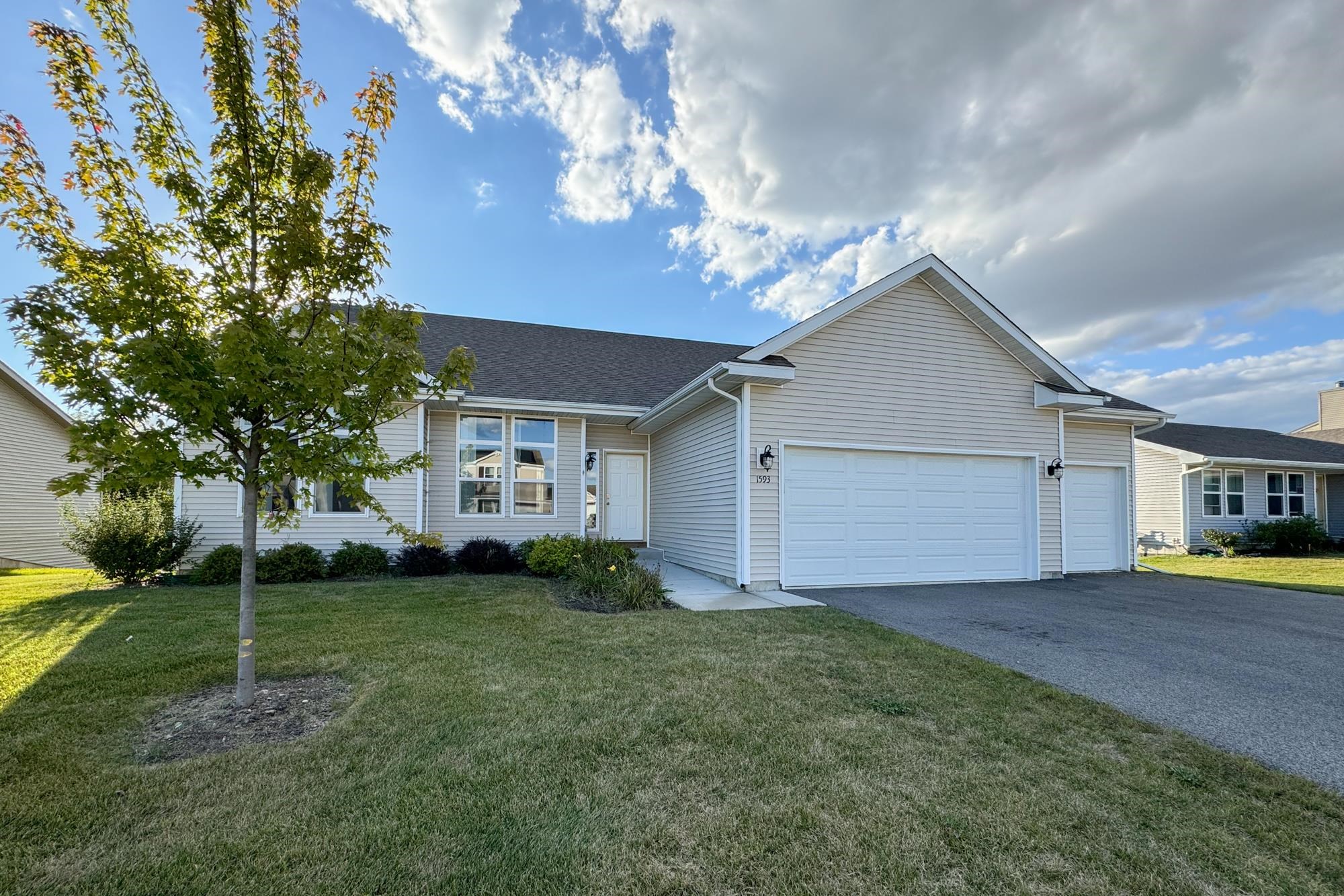 a view of a house with a yard and tree s