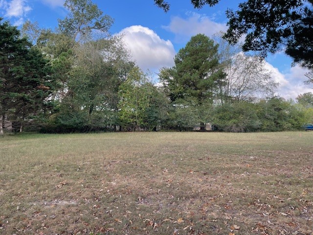 a view of an outdoor space and a yard