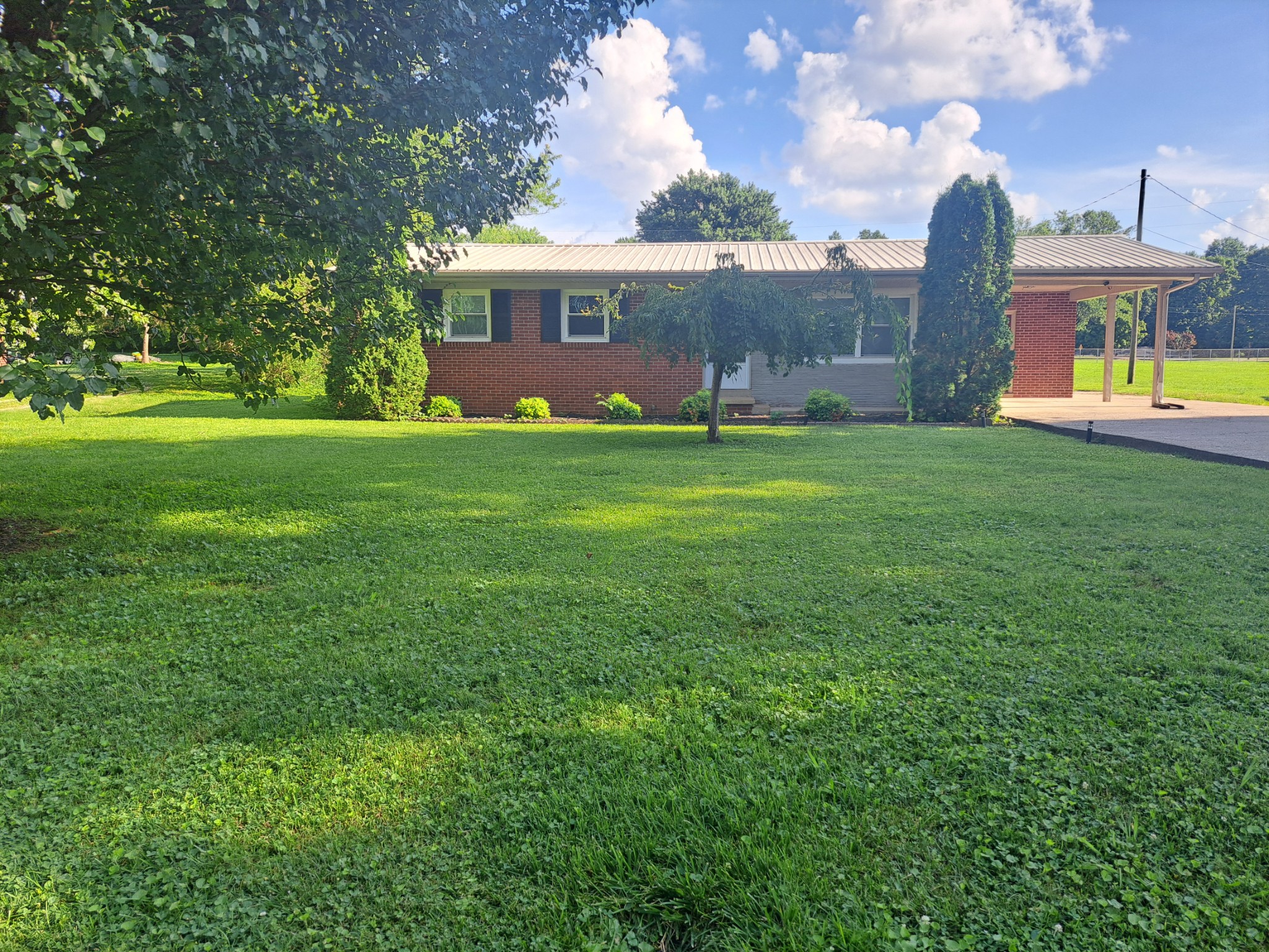 a view of a house with a backyard and a tree