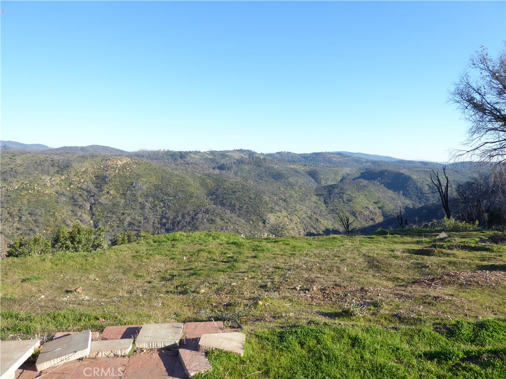 a view of a field with an ocean