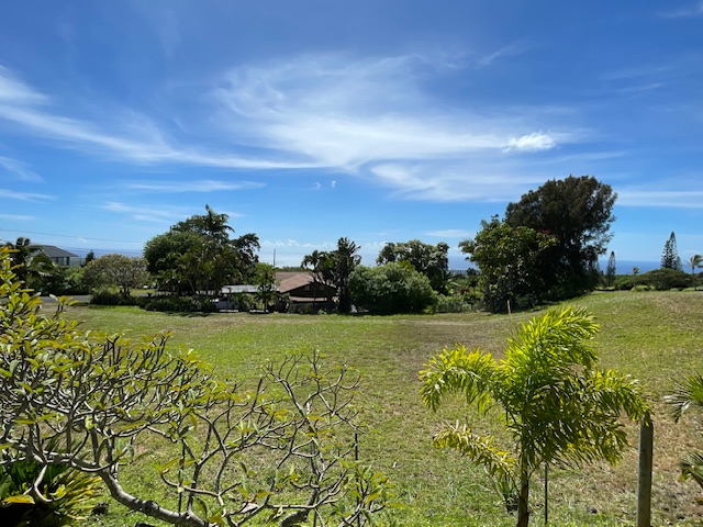 a view of a big yard with large trees