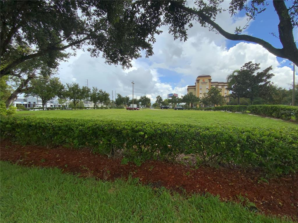 a view of a big yard with plants and large trees