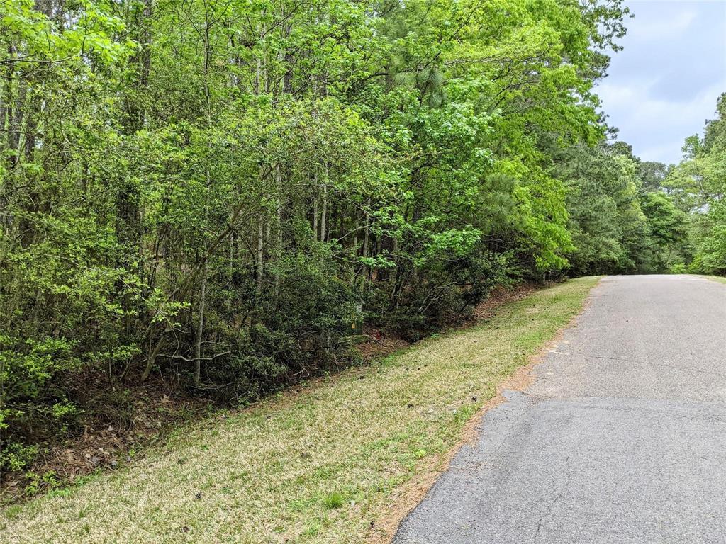 a view of a pathway both side of yard