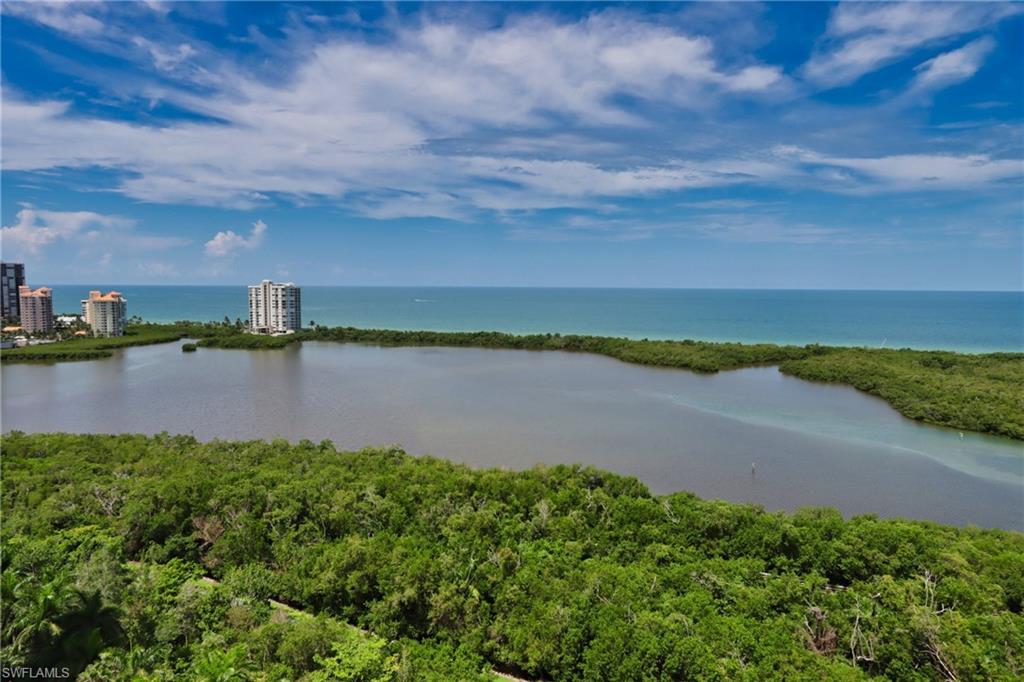 a view of a lake with a city