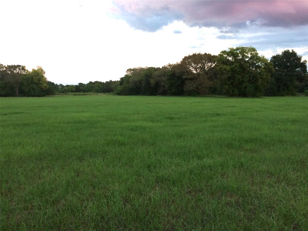 a view of a grassy field with trees