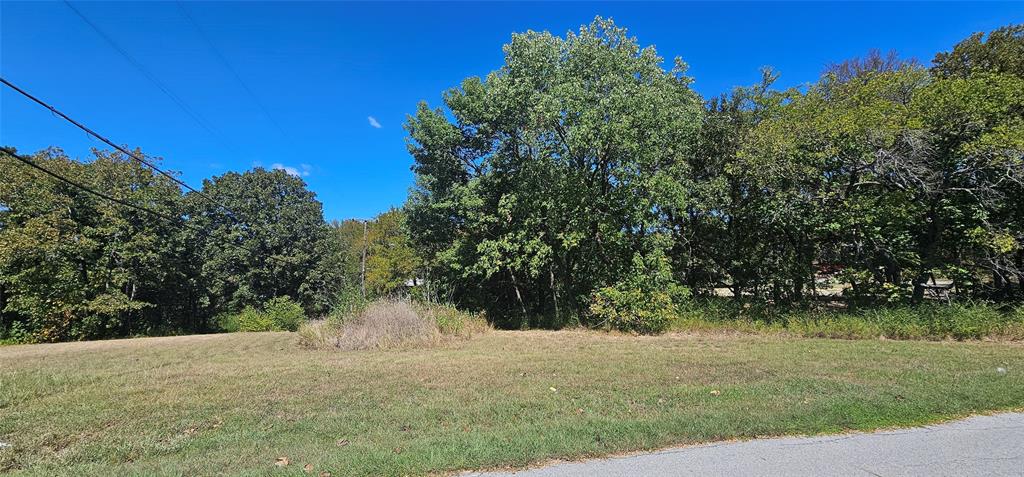 a view of a yard with a tree