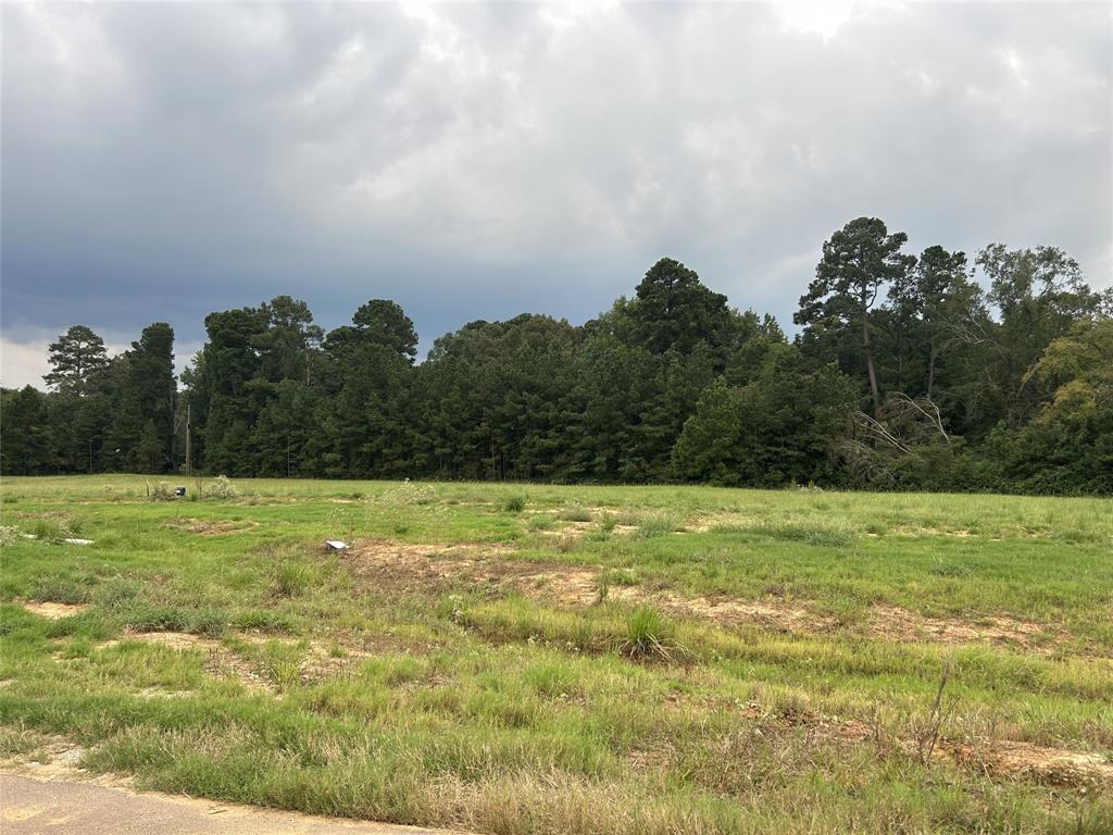 a view of a field with an trees