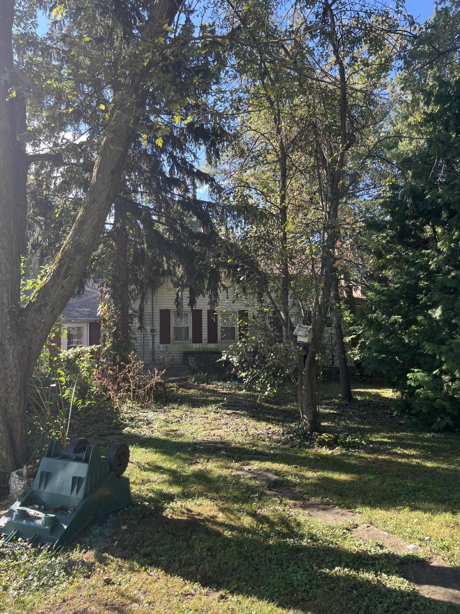 a view of a yard with large trees