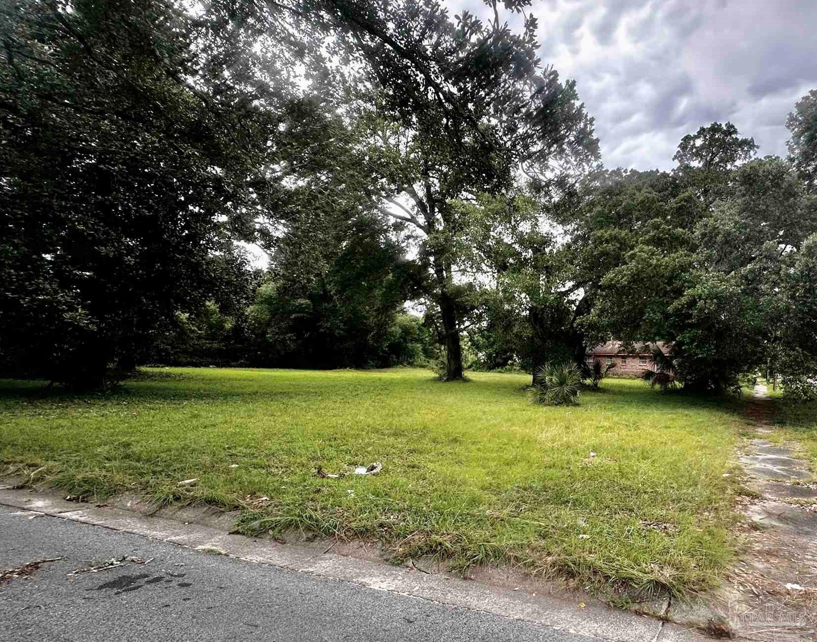 a view of a trees in a yard