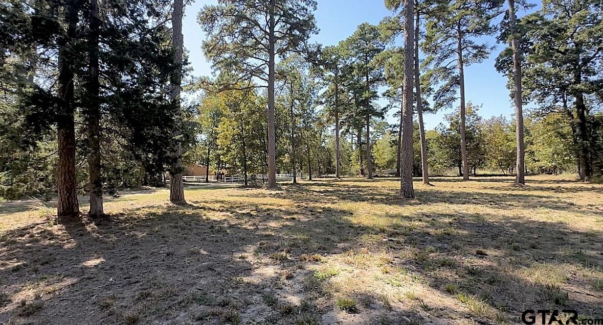 a view of dirt yard with a trees