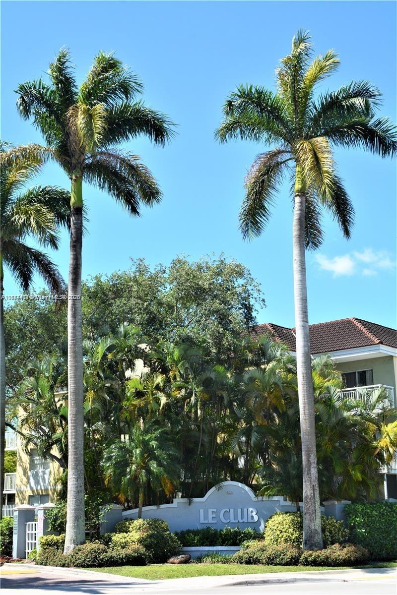 a view of a yard in front of a house