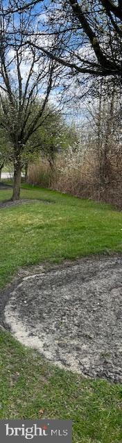 a view of a yard with a large tree