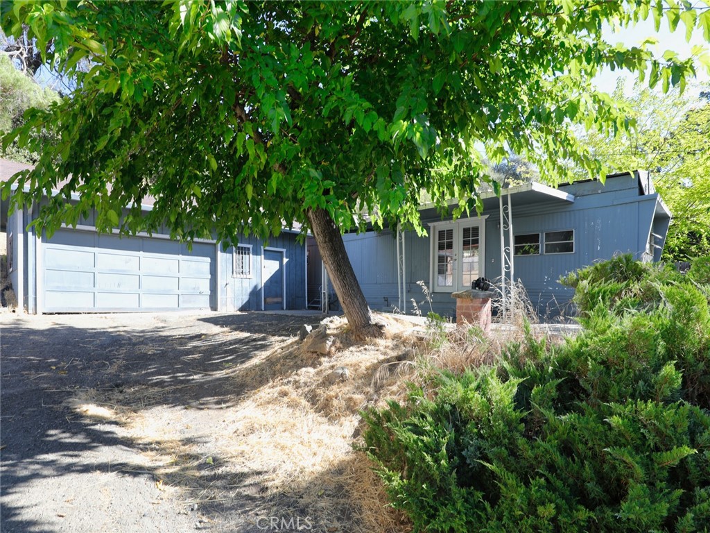 a backyard of a house with large trees and a small barn