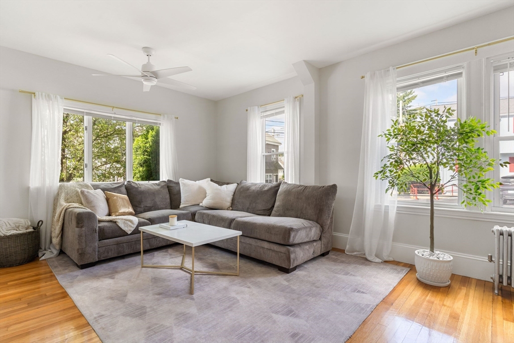 a living room with furniture and a potted plant