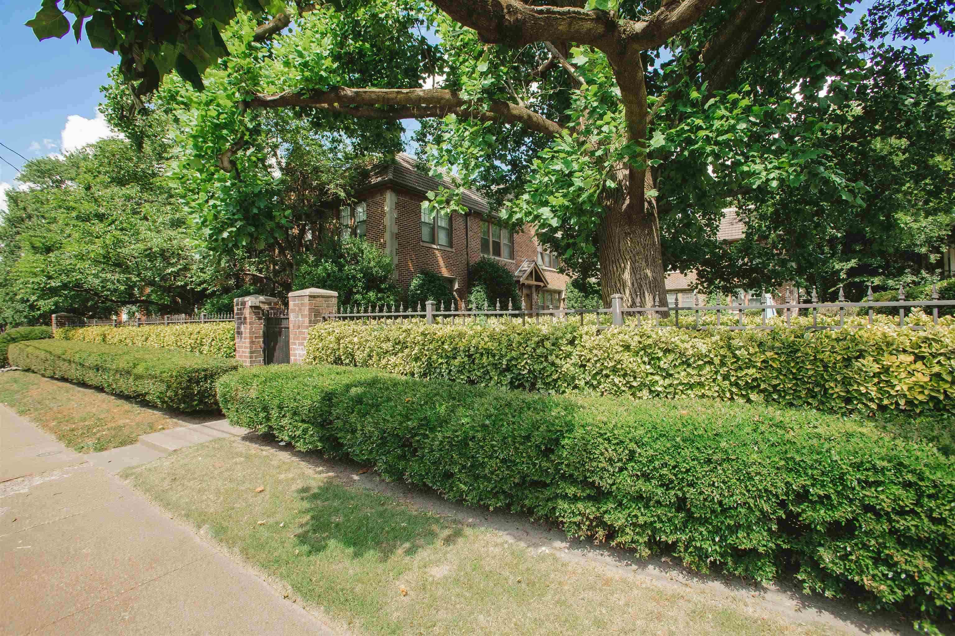 a view of a garden with large trees