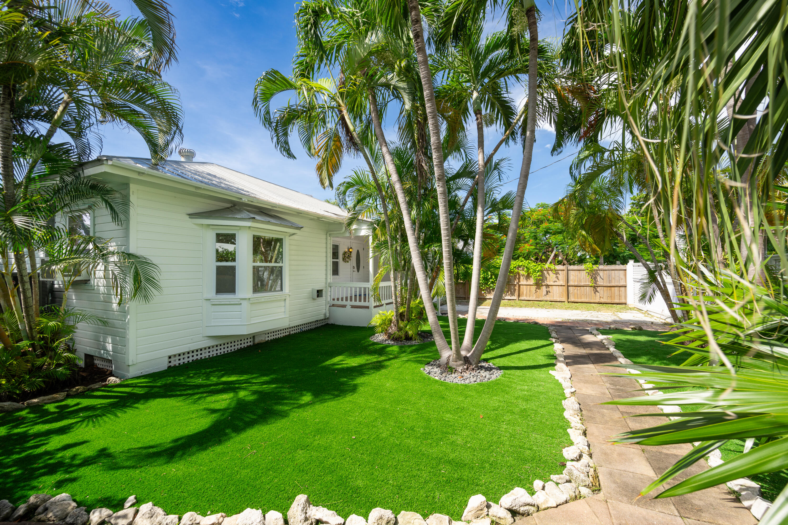 a view of a backyard with a plants