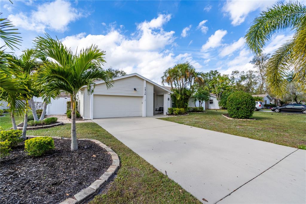 a palm plant sitting in front of a house with a big yard