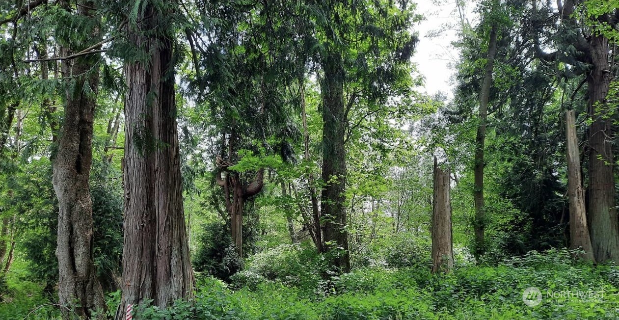 a view of outdoor space and green space