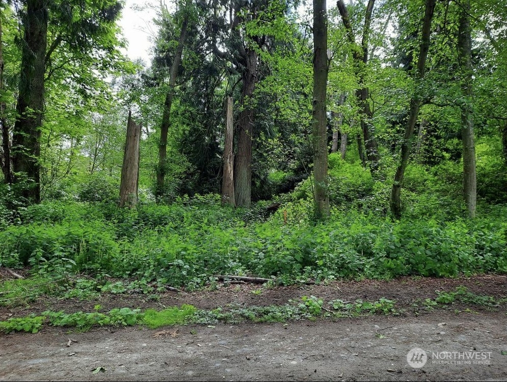 a view of backyard with green space