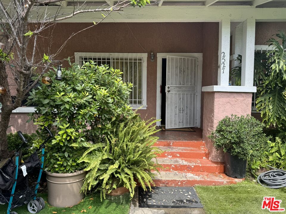 a potted plant in front of a house