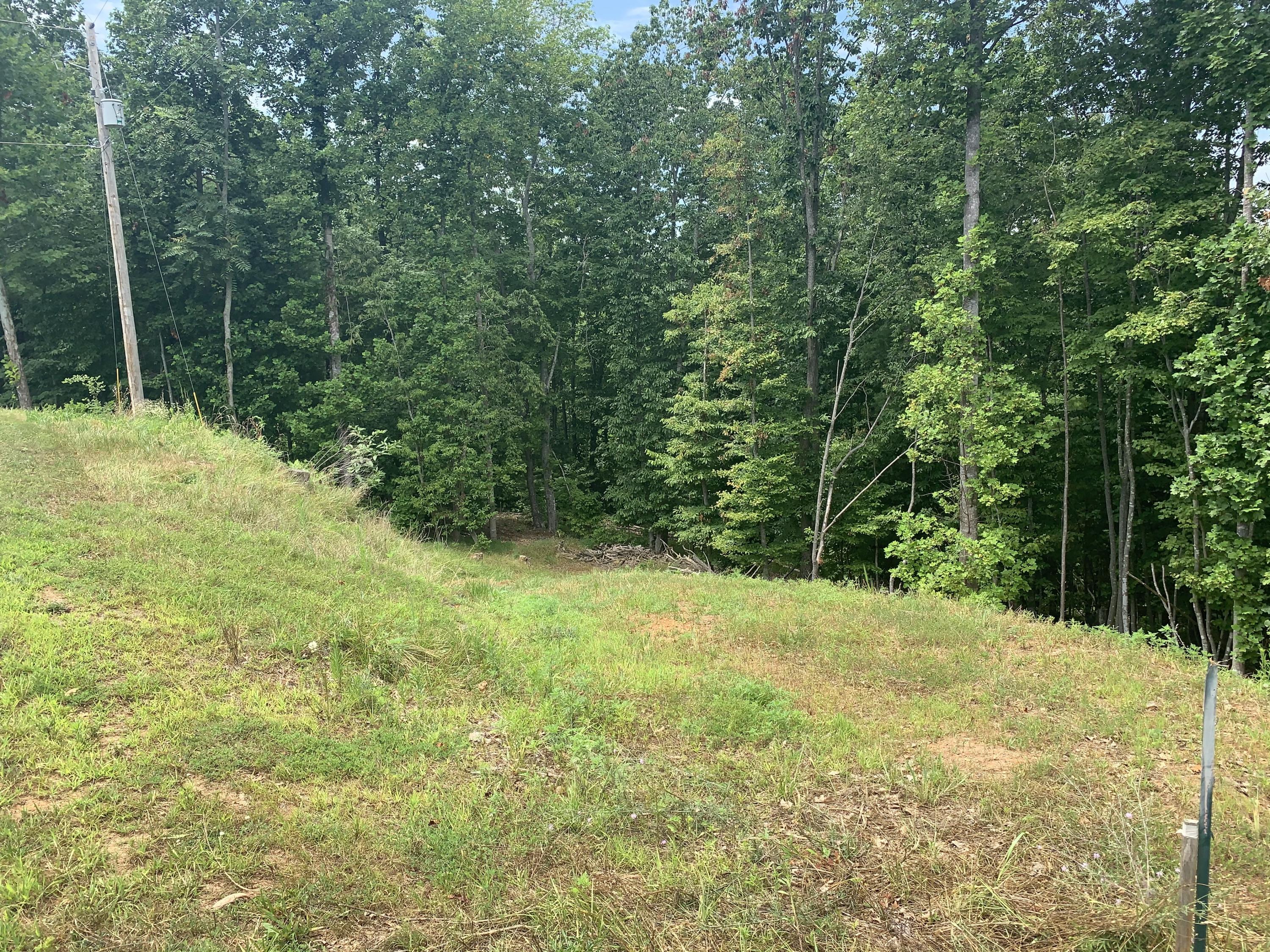 a view of a yard with a tree