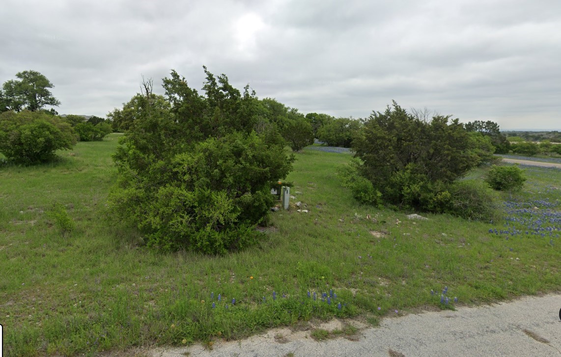 a view of a big yard with plants and large trees