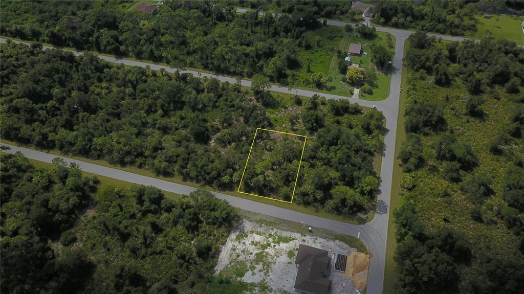 a view of a forest with a street