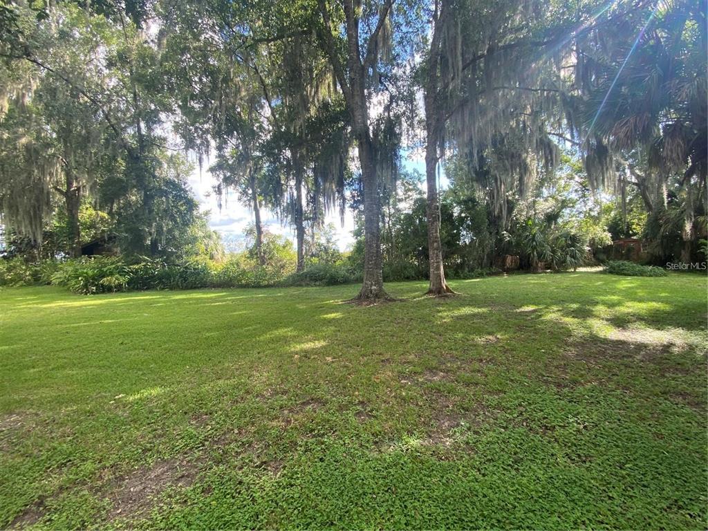 a garden with trees