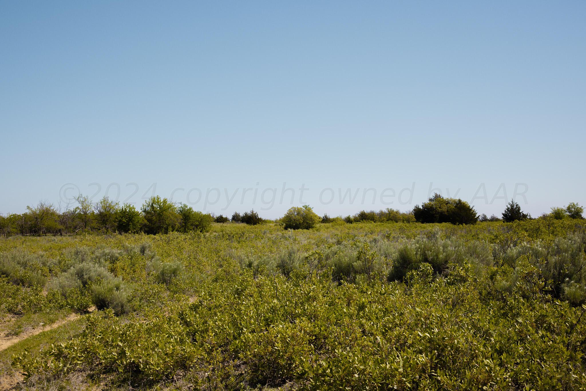 a view of a field of grass and trees