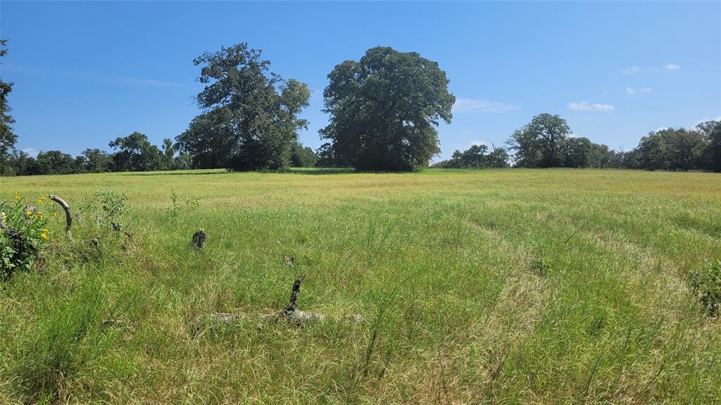 a view of a green field