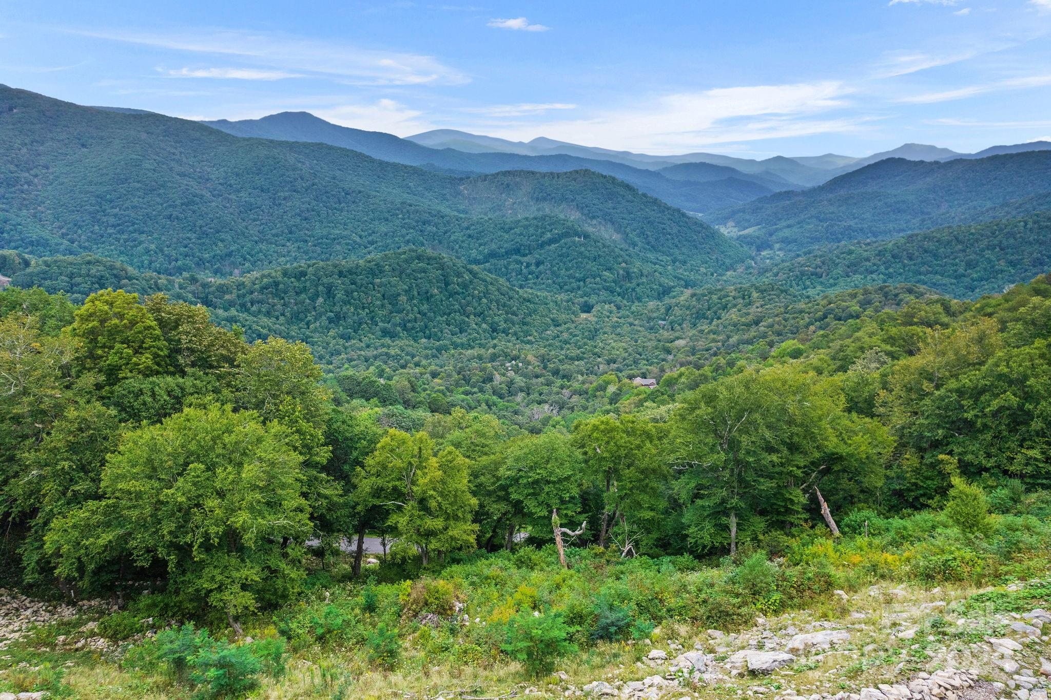 a view of a lush green hillside and a mountain