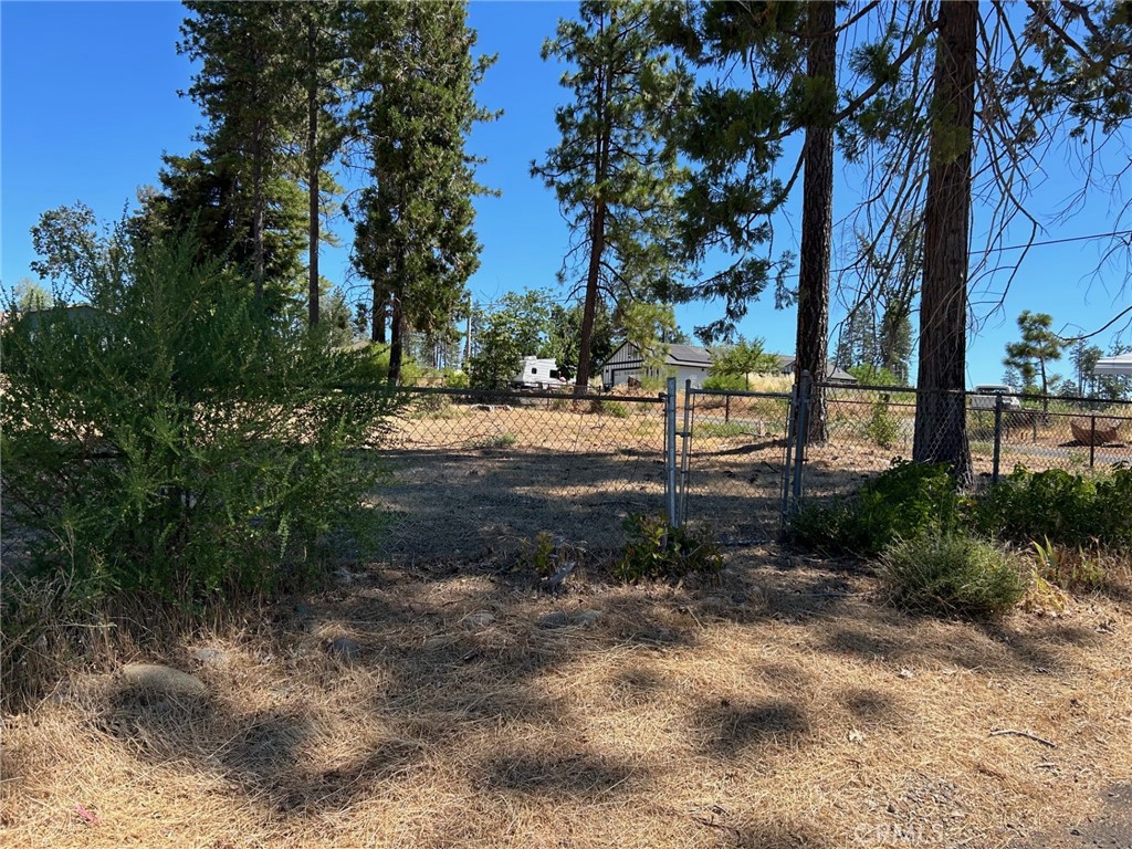 a view of backyard with green space