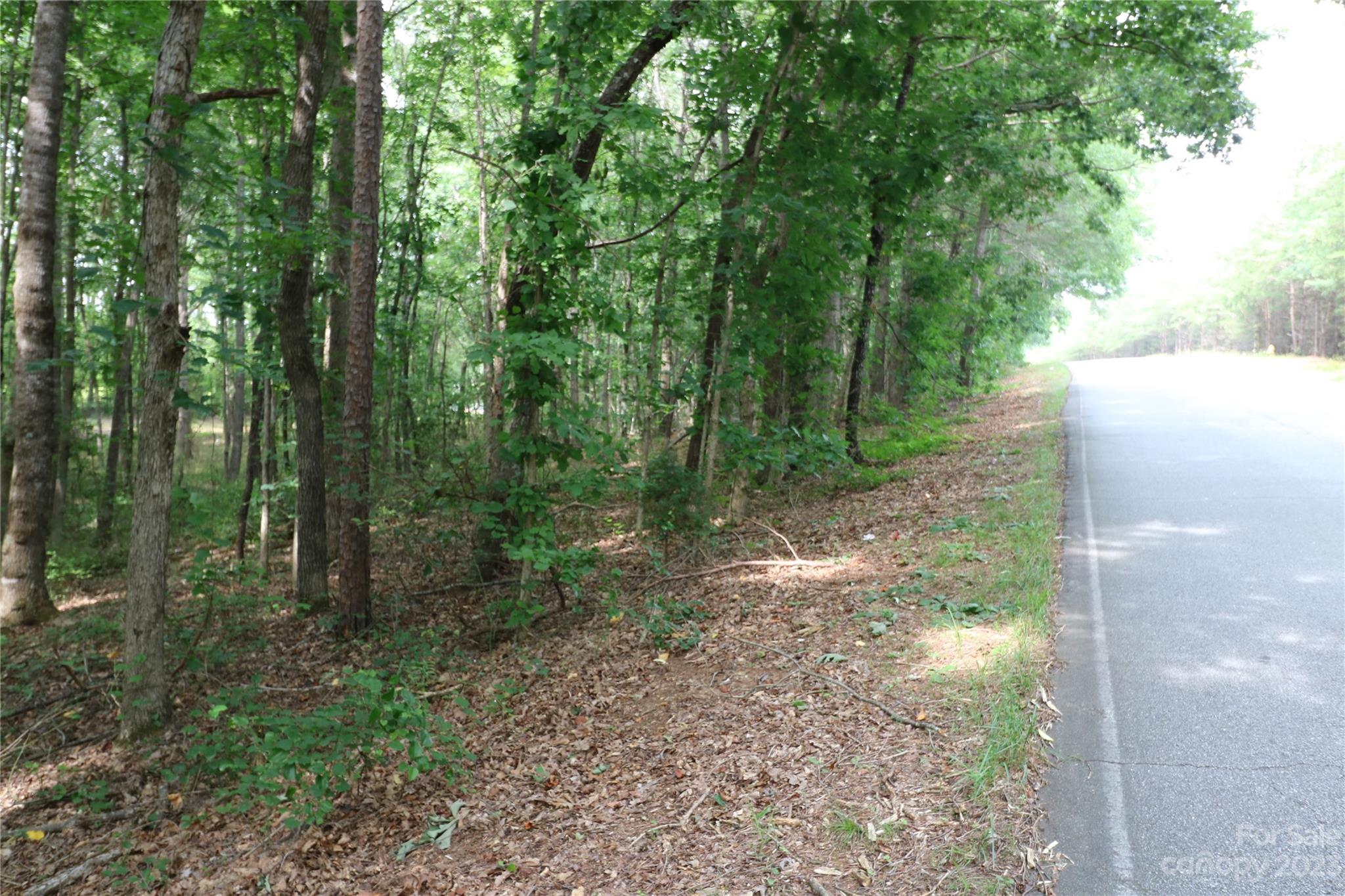 a view of a forest with trees