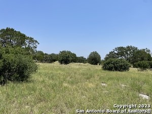 a big yard with lots of green space