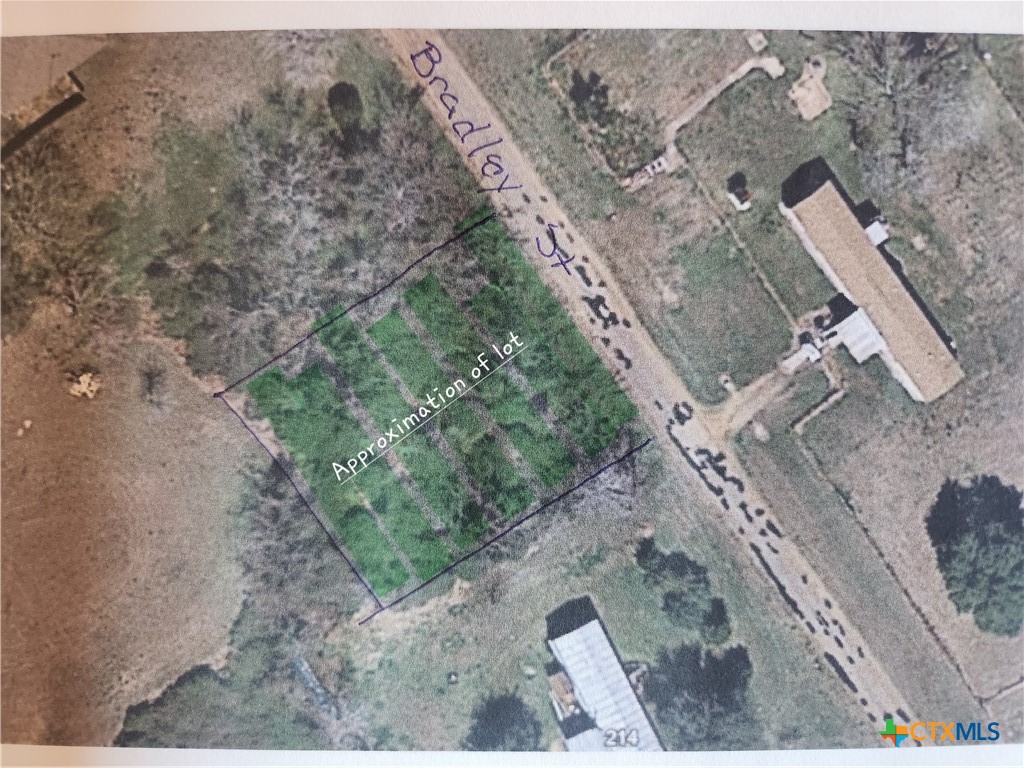 a view of a dry yard with plants and trees