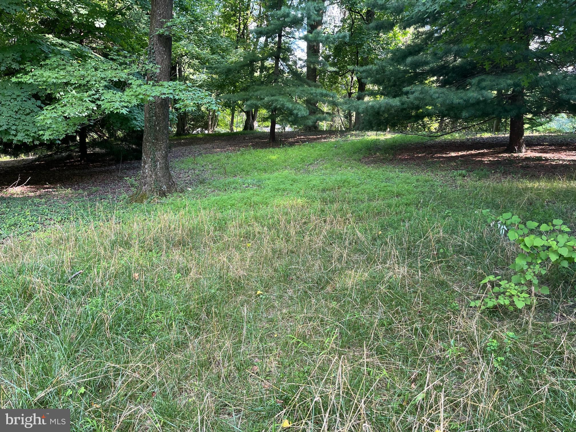 a view of a yard with a tree