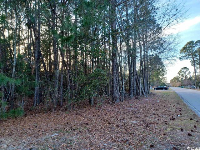 $45,000 | Lot 1 Peach Tree Road