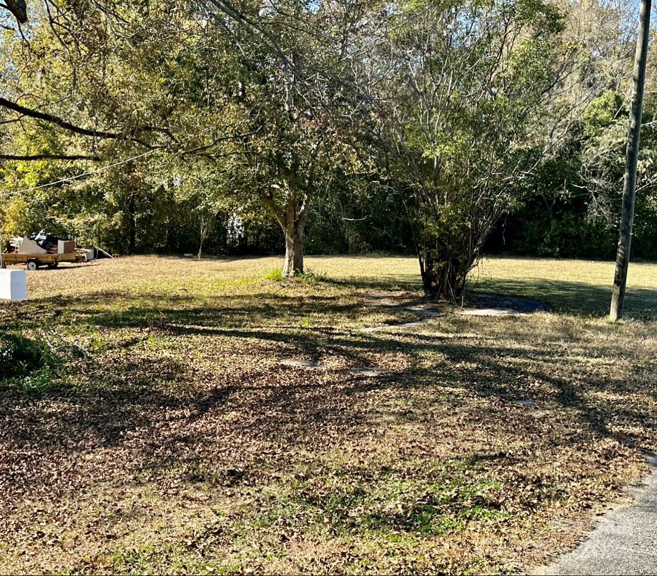 a view of a yard with a tree