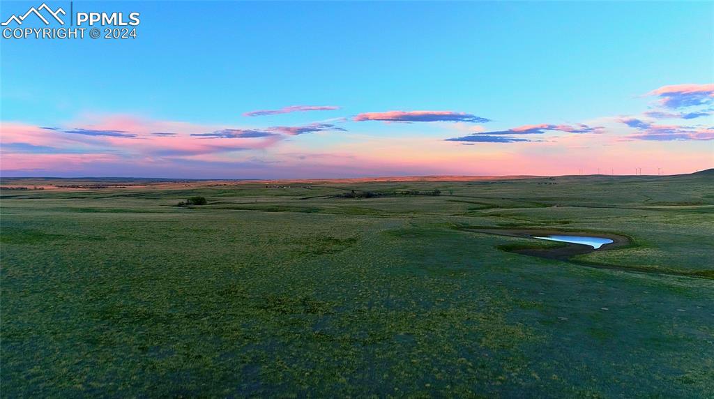 a view of a field with an ocean