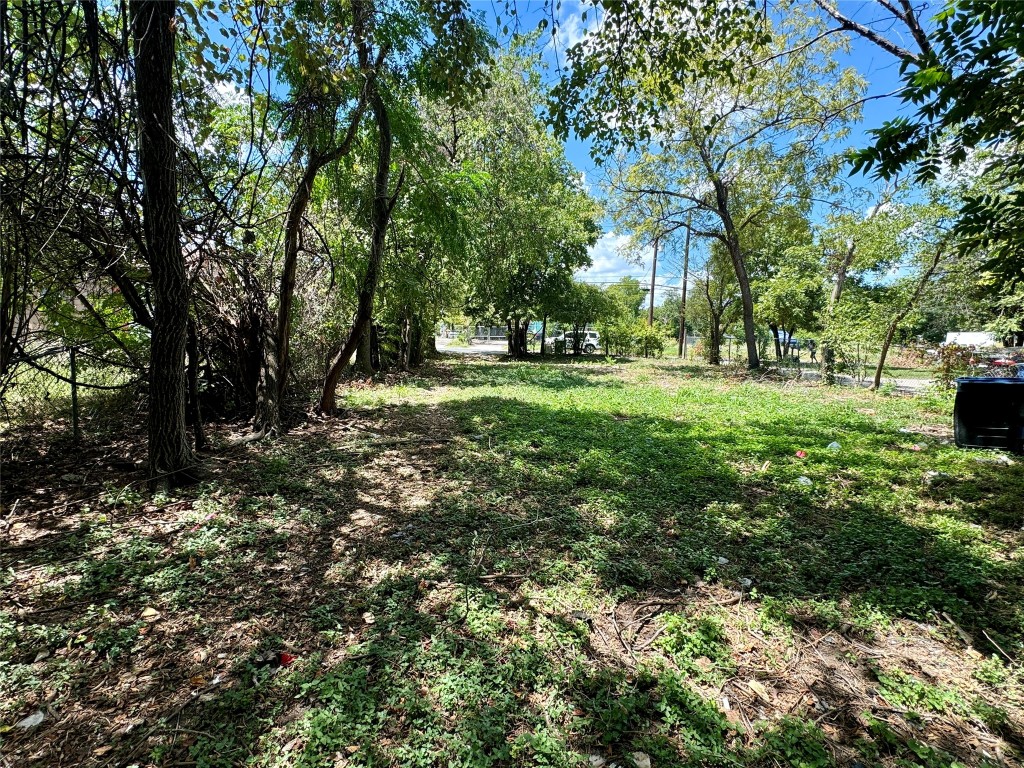 a view of a yard with plants and trees