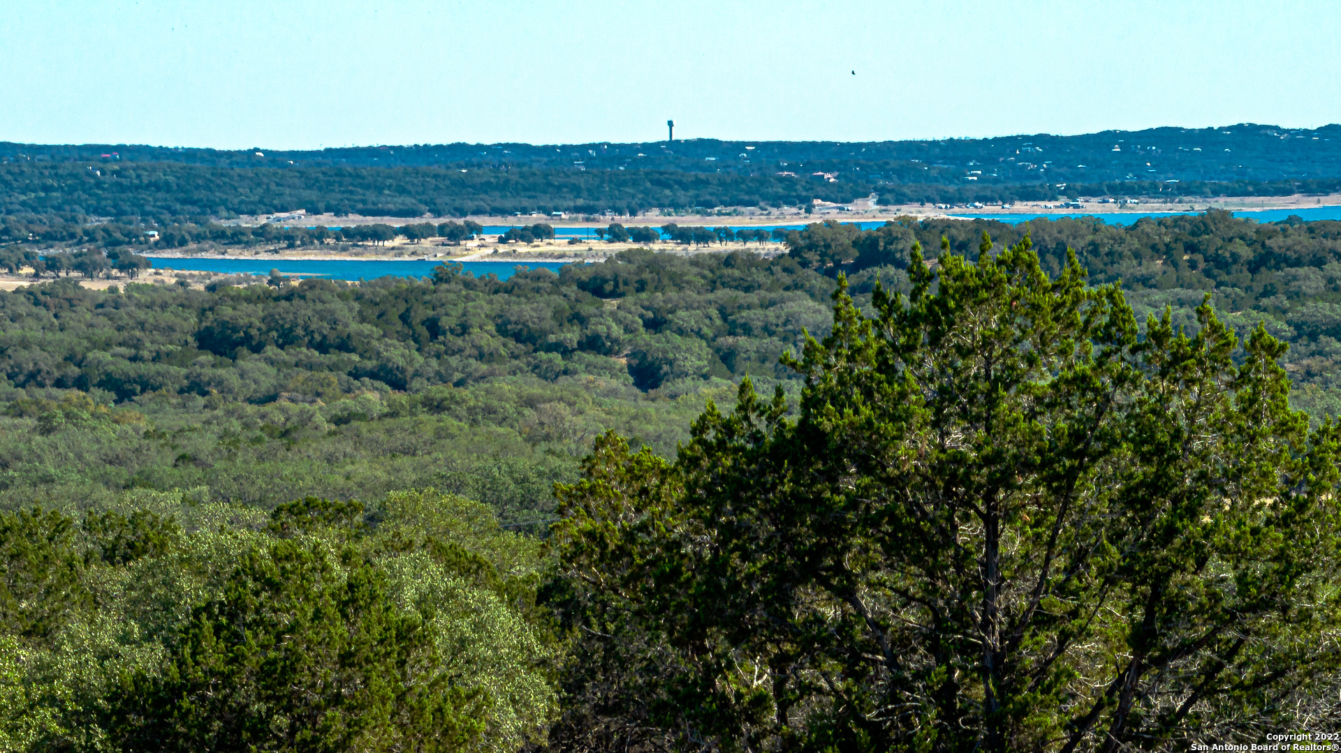 a view of a city with lush green forest