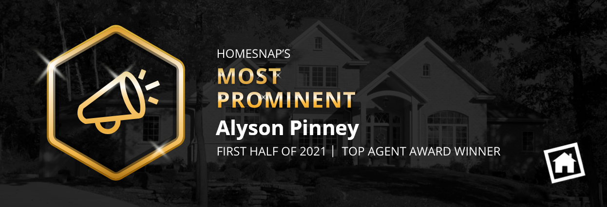 A text banner describing HOMESNAPSAlyson Pinney