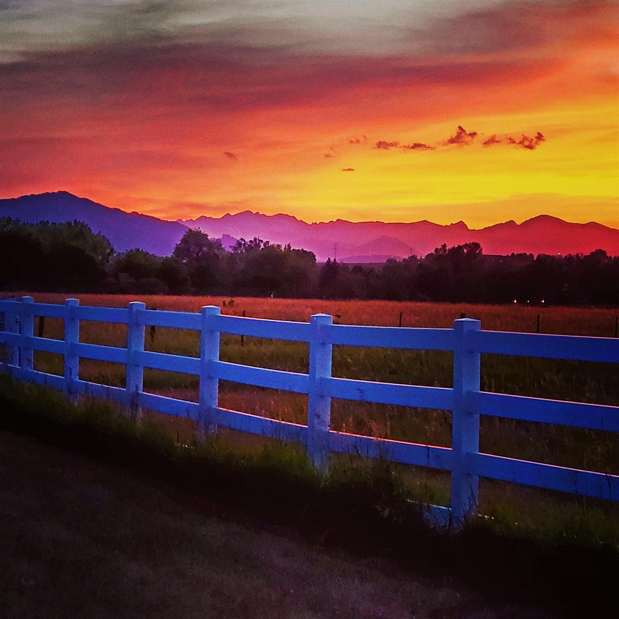 Looking West from Louisville, CO by: Sherrie Lee 2018